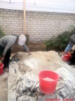 Donkey Hide, Sheep and Cow hides Best price best quality , Prompt delivery