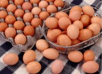 Fresh White and Brown Chicken Eggs. Fast Delivery. Best Price!!!