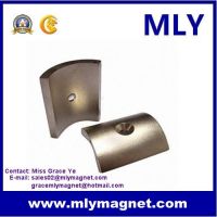 Neodymium Permanent Sintered Irregular Custom Special NdFeB Magnet 