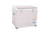 BCD45 Electronic Car Fridge (DC12/24V)