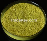 RUTIN/SOPHORAE JAPONICA EXTRACT