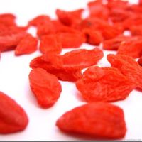 Organic Berry (Goji)