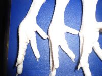 chicken feet