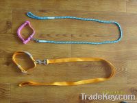 leash and leash webbing