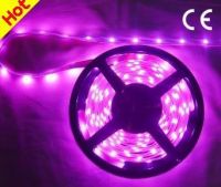 LED Flexible Strips