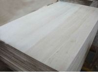 paulopwnia elge  glued board