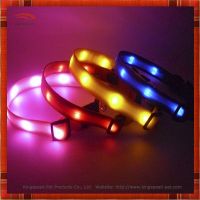 2014 Fashion Bright Led Dog Collar