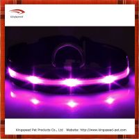 2014 Fashion Bright Led Dog Collar