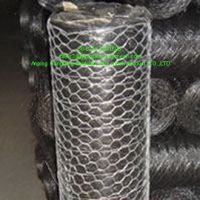 S.S Hexagonal Wire Netting 