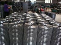 galvanized welded wire mesh  