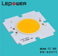 20-50W COB Module