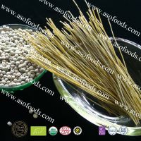 Organic pea spaghetti suitable for people allergic for gluten and body builder