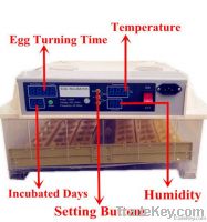 Wholesale Automatic Egg Incubator