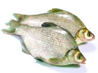 bream 