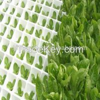 Factory Direct Eco-friendly No Pollution