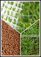 Soilless Agriculture Rich Nutrient Fertilizer Expanded