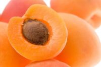 Apricot