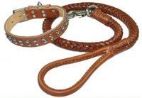 Corium Leash