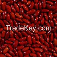 Red Kidney Beans