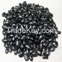 Black Kidney Beans