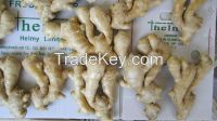 New crop fresh ginger