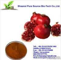 Pomegranate extract