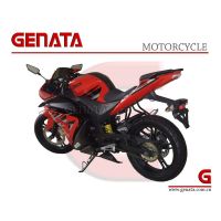 New Design EEC 250CC Sport Motorbike (GM250YZF-R)