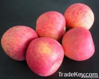 Fuji apple