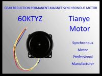 Micro Motor 59TYZ RATED VOLTAGE 220V 110V