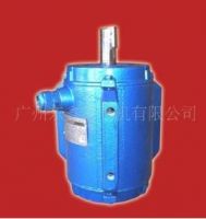  Guangzhou Dong Xin-motor 