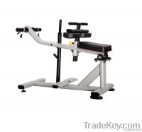 Seated Calf Machine