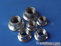 Hexagon Flange Nuts