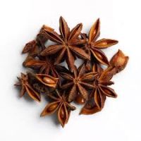 STAR ANISE SEEDS