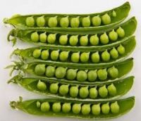 Frozen Sugar Peas