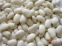 White Kidney Beans