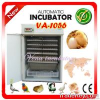 1000 Eggs Fully Automatic Egg Incubator on Hot Sale