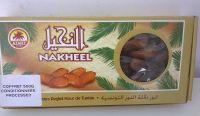 FRESH DEGLET NOUR DATES 