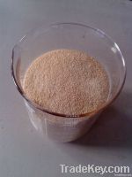 sodium alginate