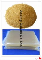 Industrial grade grade gelatin powder