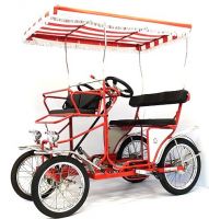 Two/Three Person Surrey Cycle/Fourwheel Bike