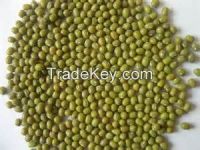 Mung Beans