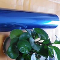 Color blue PET Film for decoration