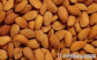 Almond Nuts