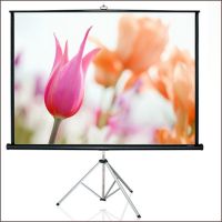 outdoor tripod projection screen 300&quot;