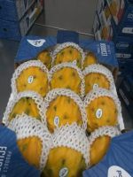 Pitahaya yellow