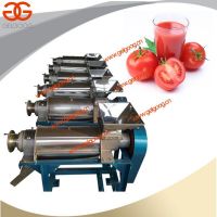 Fruit Juice Extractor