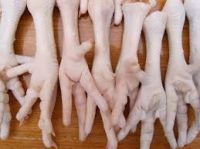 Quality chicken feet,wings paws 