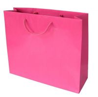 Paper Apparel bag