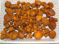 well-dried Gallstones