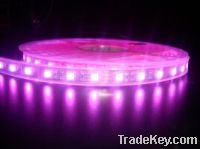 smd5050 led strips